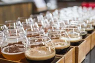 Philadelphia Guided Craft Brewery Tour thumbnail 1