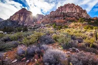 Las Vegas Red Rock Canyon Scenic Experience thumbnail 5