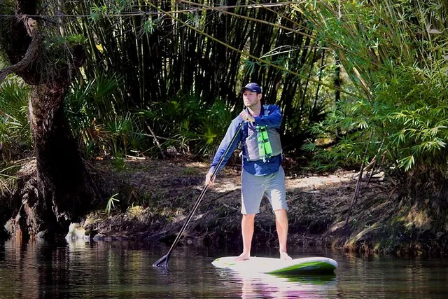 Cypress Forest Nature Kayak Eco-Tour - Image 4