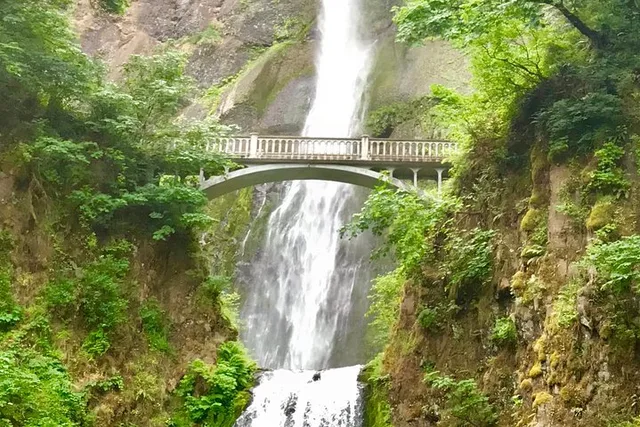 Portland Columbia River Gorge and Mt Hood Day Tour - Image 3
