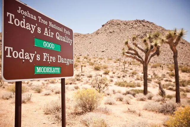 Joshua Tree Scavenger Hunt Adventure - Image 3