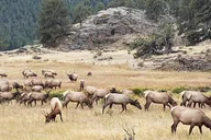 Denver Rocky Mountain National Park Tour thumbnail 4