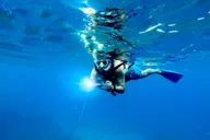 Maui Sea Scooter Snorkeling Tour at Turtle Town thumbnail 5