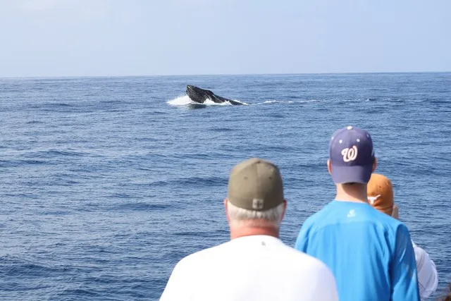Kauai Whale Watching Cocktail Tour - Image 6