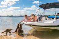 Fort Lauderdale Wildlife Boat Tour to Raccoon Island thumbnail 5