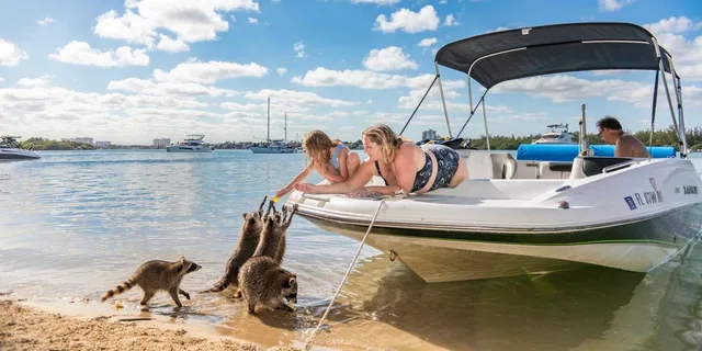 Fort Lauderdale Wildlife Boat Tour to Raccoon Island - Image 5
