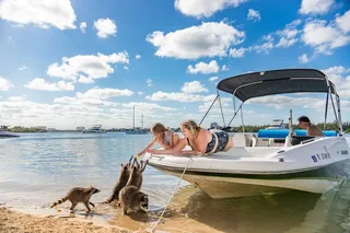 Raccoon Island Private Boat Tour