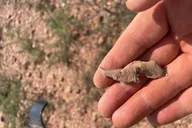 Bisbee Rockhounding Tour 90 min thumbnail 3