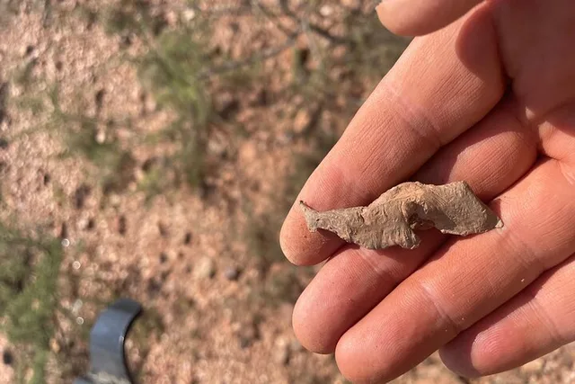 Bisbee Rockhounding Tour 90 min - Image 3