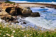 La Jolla Self-Guided Audio Walking Tour thumbnail 5