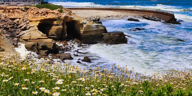 La Jolla Self-Guided Audio Walking Tour - Image 5
