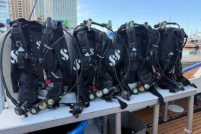 Waikiki Scuba Reef Dive for Certified Divers 90 Min - Image 2