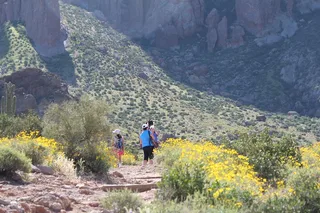 Apache Trail Private Tour
