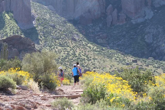 Apache Trail Private Tour - Image 1