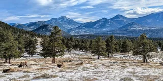 Denver Rocky Mountain National Park Hiking Tour