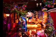 New York City Christmas Lights Tour thumbnail 3