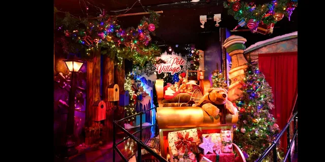 New York Christmas Rickshaw Sleigh Ride - Image 3