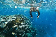 La Jolla Snorkeling Adventure thumbnail 1