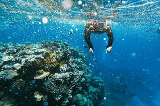 La Jolla Snorkeling Adventure