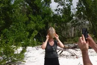 Marco Island Boat Excursion with Dolphins & Shelling 3.5 hr thumbnail 6