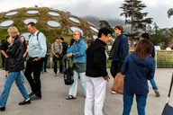 San Francisco NightLife Plus at California Academy of Sciences thumbnail 6
