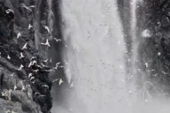 Whittier Glacier Quest Cruise with Onboard Lunch thumbnail 6