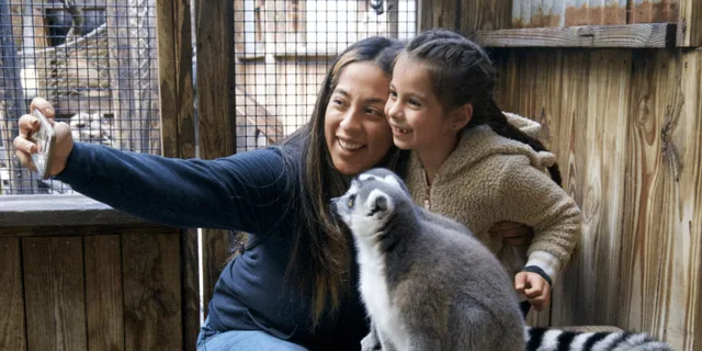 Orlando Wildlife Park and Gator Show - Image 4