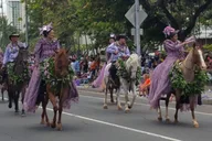 Honolulu Historical Tour thumbnail 5