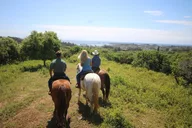 Oahu Scenic Horseback Ride 1 Hour thumbnail 2