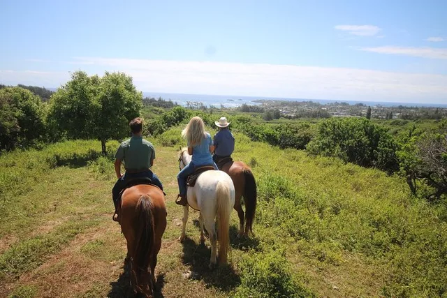Oahu Scenic Horseback Ride 1 Hour - Image 2