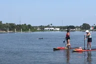 Daytona Paddle Board Rental thumbnail 4