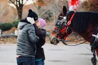New York City Proposal Carriage Ride 60 min thumbnail 4