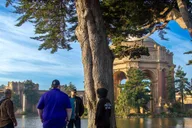 San Francisco City Highlights Open-Air Tour thumbnail 5