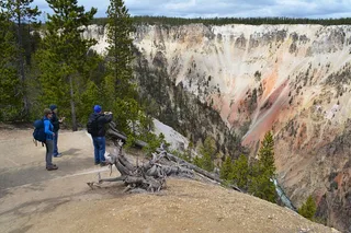 Yellowstone Hiking Adventure Full Day