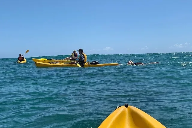 Kailua Guided Kayaking Excursion Oahu 2 hr - Image 6