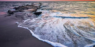 Cape May Dinner Cruise with Dolphin Watching