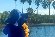 Cocoa Beach Dolphin Sightseeing Tour 2 hr thumbnail 6