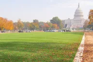 Washington DC National Mall Augmented Reality Treasure Hunt thumbnail 3