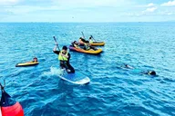 Honolulu Catamaran Snorkel with Turtles 3 hr thumbnail 6