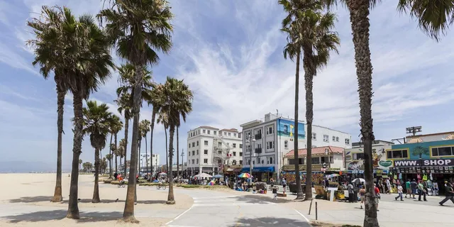 Los Angeles Private Beach Tour - Image 5