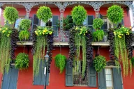 New Orleans City Tour with Local Guide thumbnail 1