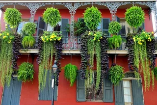 New Orleans City Tour with Local Guide