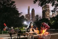 New York City Carriage Ride: Central Park & Rockefeller thumbnail 1