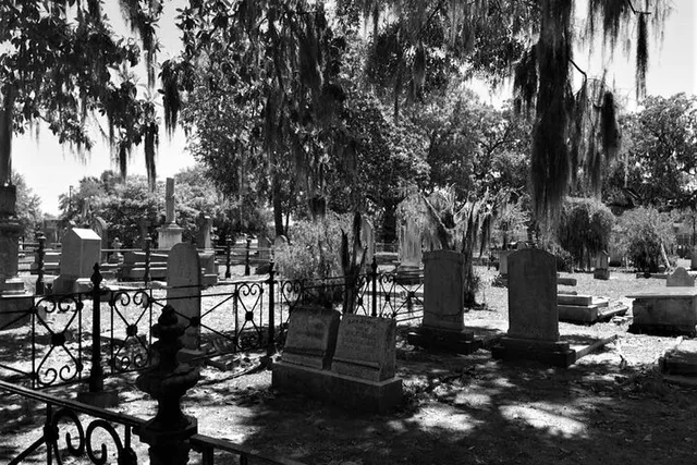 Savannah Voices of the Dead Tour 90 Min - Image 6