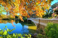 New York Central Park Walking Tour thumbnail 4