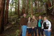 San Francisco Muir Woods & Sausalito Private Tour thumbnail 4