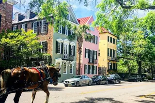 Charleston Historic Horse & Carriage Tour