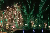 Brooklyn Christmas Limousine Tour thumbnail 2