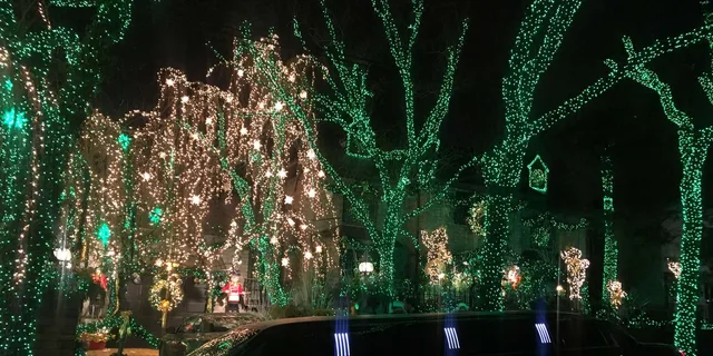 Brooklyn Christmas Limousine Tour - Image 2