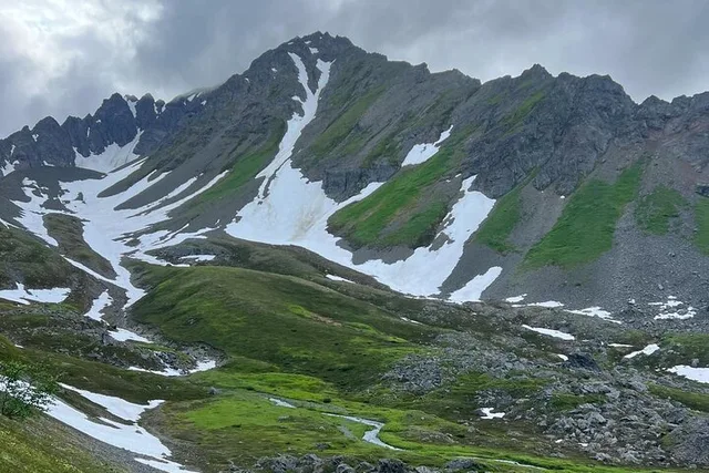 Seward Hiking Tour on Mount Marathon - Image 6